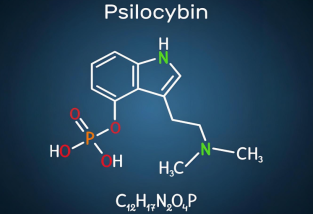 美拉德反應：食品風味與色澤的科學奧秘